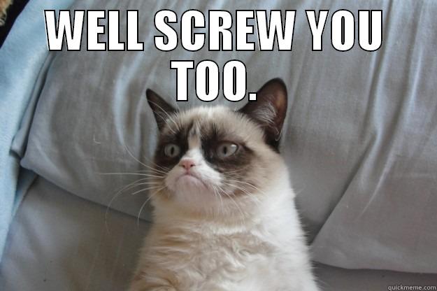 WELL SCREW YOU TOO.  Grumpy Cat