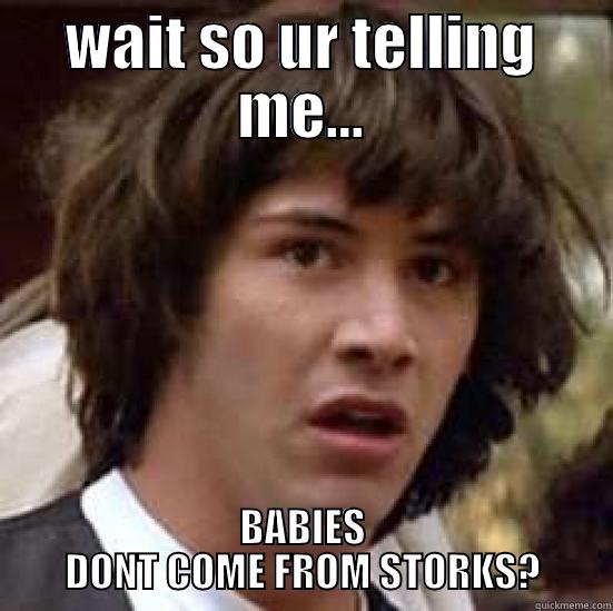 WAIT SO UR TELLING ME... BABIES DONT COME FROM STORKS? conspiracy keanu