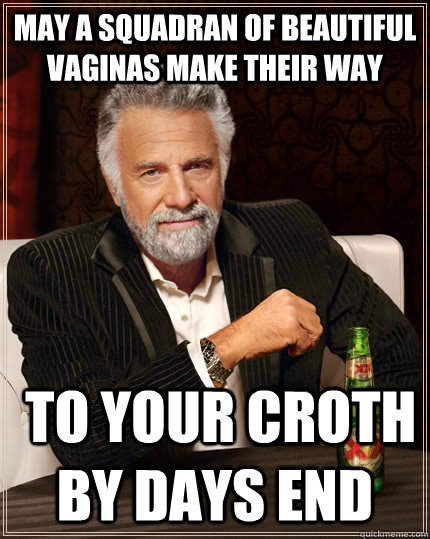 May a Squadran of Beautiful vaginas make their way  to your croth by days end  The Most Interesting Man In The World