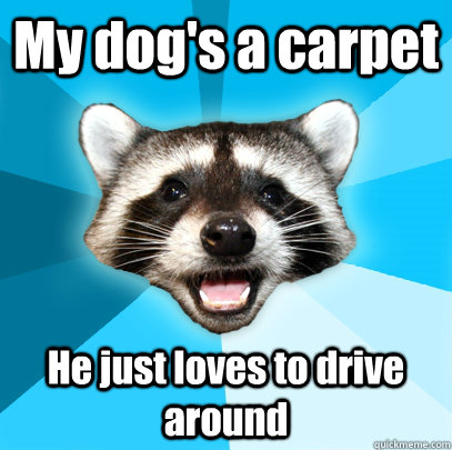 My dog's a carpet He just loves to drive around  Lame Pun Coon