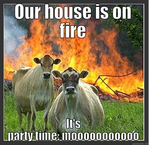 OUR HOUSE IS ON FIRE IT'S PARTY TIME: MOOOOOOOOOOO Evil cows