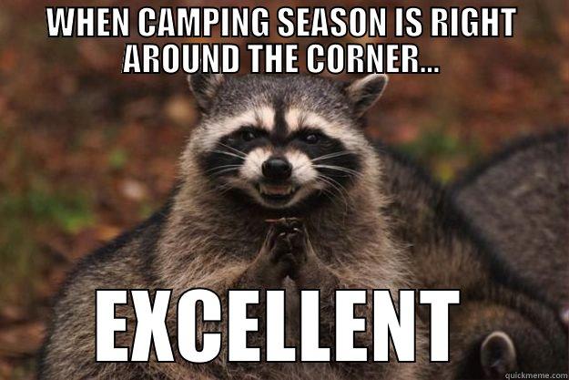 WHEN CAMPING SEASON IS RIGHT AROUND THE CORNER... EXCELLENT Evil Plotting Raccoon