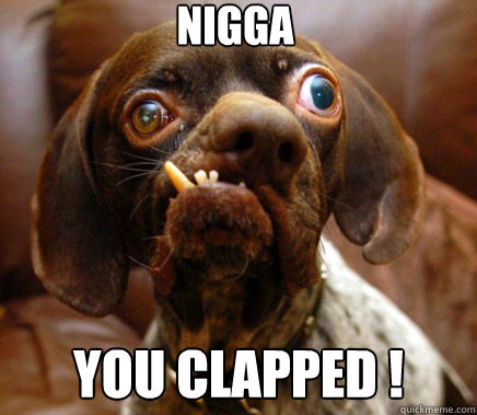 nigga you clapped ! - nigga you clapped !  Ugly Advice Dog