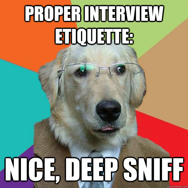 proper interview etiquette: nice, deep sniff  Business Dog