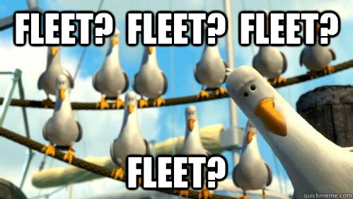 fleet?  Fleet?  Fleet? Fleet?  Finding Nemo Seagulls