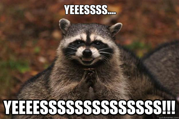 Yeeessss.... YEEEESSSSSSSSSSSSSS!!! - Yeeessss.... YEEEESSSSSSSSSSSSSS!!!  Evil Plotting Raccoon