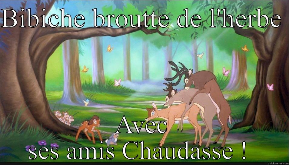 BIBICHE BROUTTE DE L'HERBE  AVEC SES AMIS CHAUDASSE !  Misc