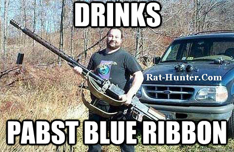 Drinks Pabst BLUE Ribbon  