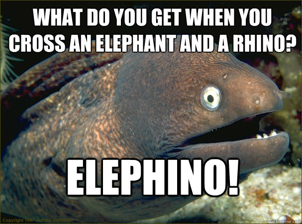 What do you get when you cross an elephant and a rhino?
 Elephino! - What do you get when you cross an elephant and a rhino?
 Elephino!  Bad Joke Eel