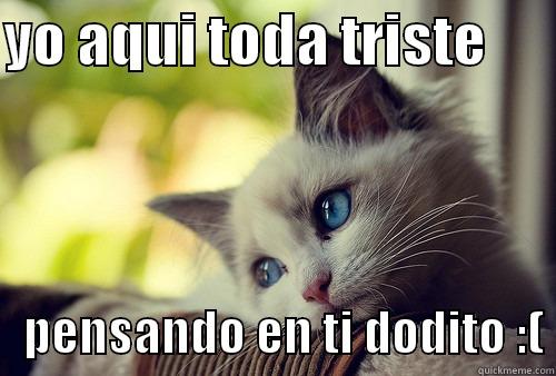 YO AQUI TODA TRISTE          PENSANDO EN TI DODITO :( First World Problems Cat