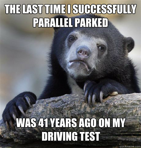 the last time i successfully parallel parked
  was 41 years ago on my driving test  - the last time i successfully parallel parked
  was 41 years ago on my driving test   Confession Bear