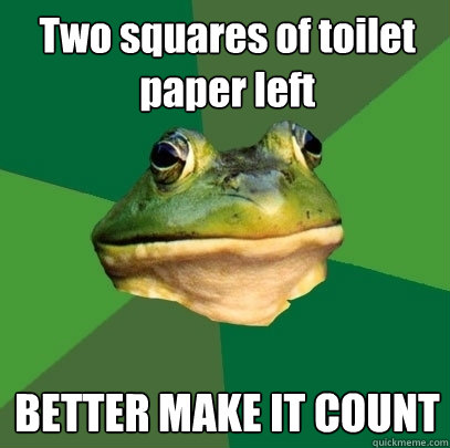 Two squares of toilet paper left BETTER MAKE IT COUNT - Two squares of toilet paper left BETTER MAKE IT COUNT  Foul Bachelor Frog