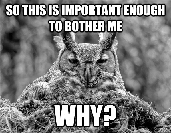so this is important enough to bother me why? - so this is important enough to bother me why?  Too wise for you owl