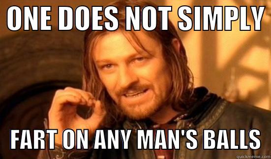  ONE DOES NOT SIMPLY     FART ON ANY MAN'S BALLS  Boromir