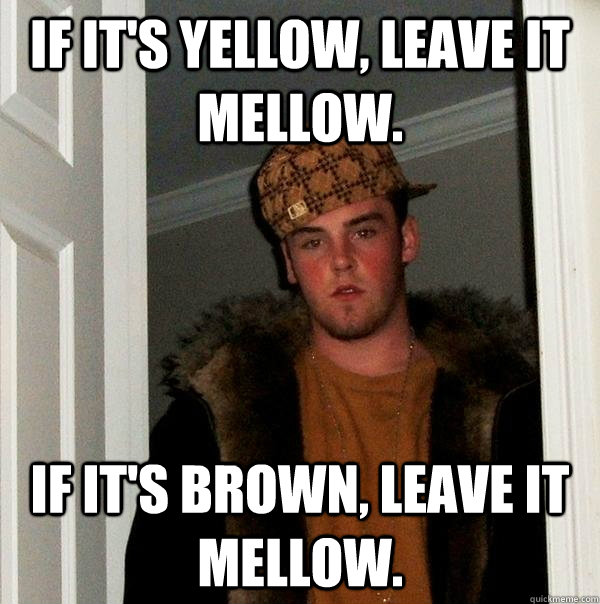 if it's yellow, leave it mellow. if it's brown, leave it mellow.  Scumbag Steve