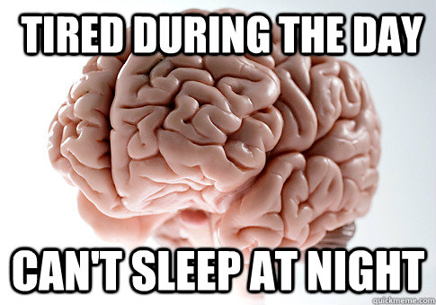  tired during the day can't sleep at night  Scumbag Brain