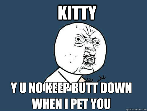 Kitty y u no keep butt down when I pet you  Y U No