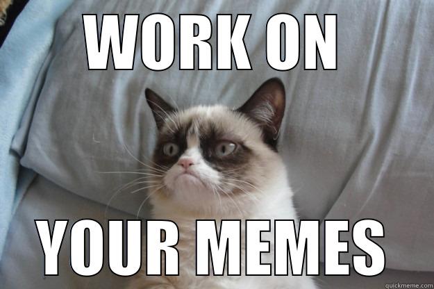 WORK ON YOUR MEMES Grumpy Cat