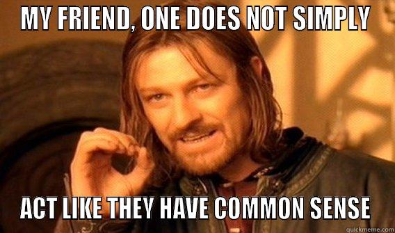 MY FRIEND, ONE DOES NOT SIMPLY ACT LIKE THEY HAVE COMMON SENSE One Does Not Simply