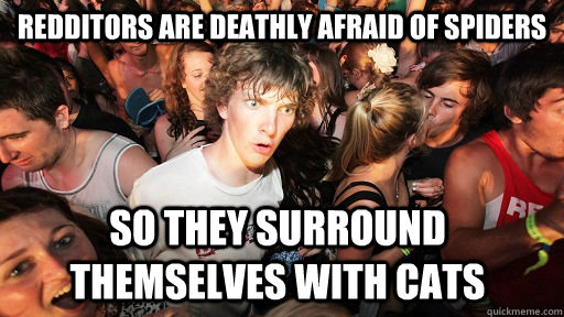 REDDITORs are deathly afraid of spiders  so they surround themselves with cats  Sudden Clarity Clarence