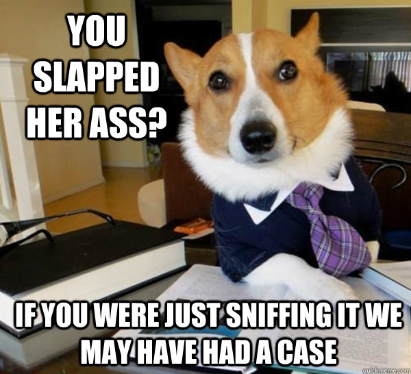 you slapped her ass? If you were just sniffing it we may have had a case  Lawyer Dog