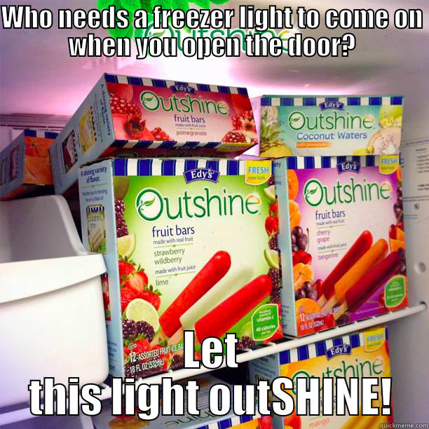 WHO NEEDS A FREEZER LIGHT TO COME ON WHEN YOU OPEN THE DOOR? LET THIS LIGHT OUTSHINE! Misc