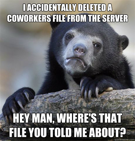 I accidentally Deleted a CoWorkers File from the Server Hey man, where's that file you told me about?  Confession Bear