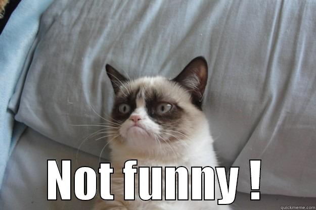  NOT FUNNY ! Grumpy Cat