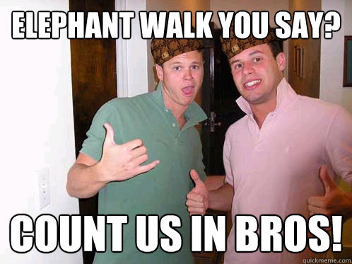 Elephant walk you say? Count us in bros!  Scumbag Frat Boys