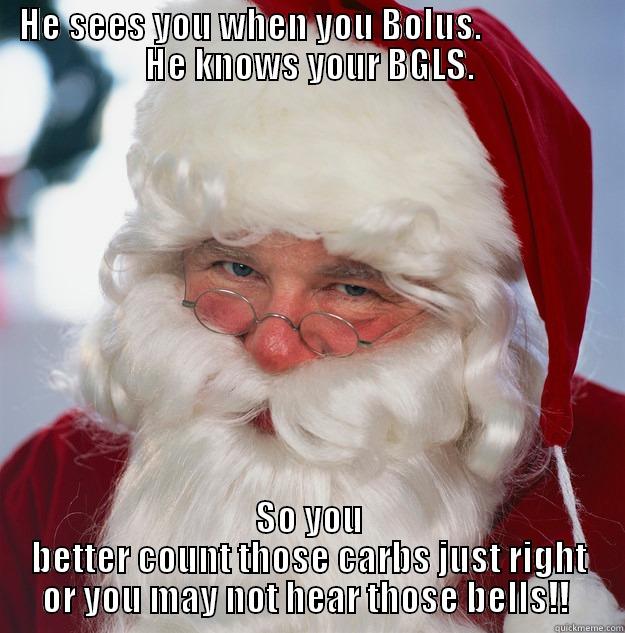 HE SEES YOU WHEN YOU BOLUS.                  HE KNOWS YOUR BGLS. SO YOU BETTER COUNT THOSE CARBS JUST RIGHT OR YOU MAY NOT HEAR THOSE BELLS!!  Scumbag Santa