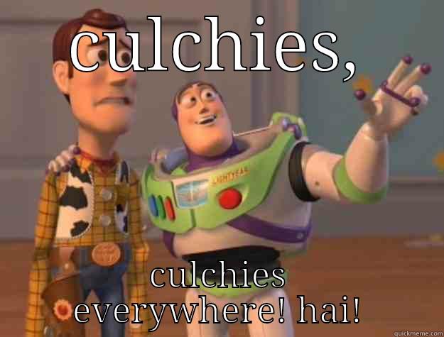 CULCHIES, CULCHIES EVERYWHERE! HAI! Toy Story