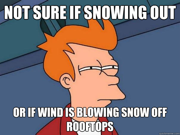 not sure if snowing out or if wind is blowing snow off rooftops - not sure if snowing out or if wind is blowing snow off rooftops  Futurama Fry