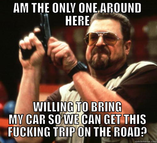 AM THE ONLY ONE AROUND HERE WILLING TO BRING MY CAR SO WE CAN GET THIS FUCKING TRIP ON THE ROAD? Am I The Only One Around Here