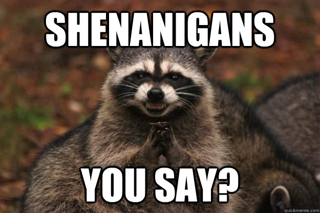 Shenanigans you say?   Evil Plotting Raccoon