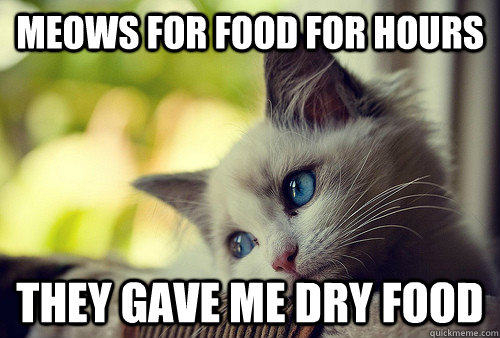 Meows for food for hours They gave me dry food  First World Problems Cat