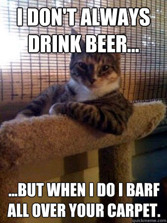 I don't always drink beer... ...but when I do I barf all over your carpet.  The Most Interesting Cat in the World