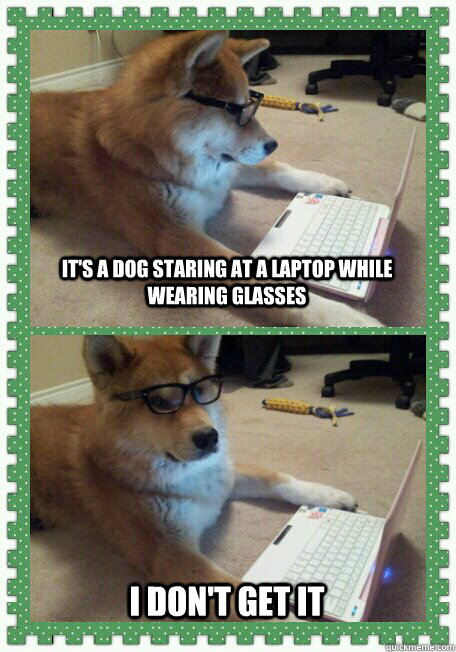 It's a Dog staring at a laptop while wearing glasses I don't get it  hello