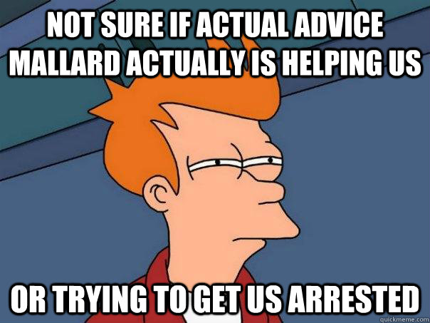 Not sure if actual advice mallard actually is helping us  or trying to get us arrested   Futurama Fry