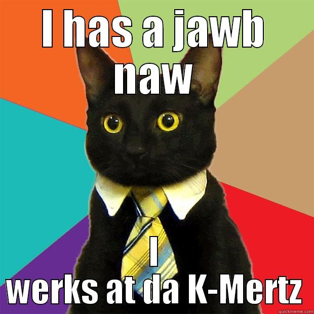 I HAS A JAWB NAW I WERKS AT DA K-MERTZ Business Cat