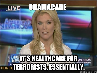 obamacare It's healthcare for terrorists, essentially.  Megyn Kelly