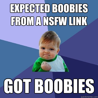 expected boobies from a nsfw link got boobies - expected boobies from a nsfw link got boobies  Success Kid