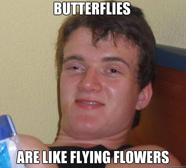 butterflies are like flying flowers - butterflies are like flying flowers  10 Guy