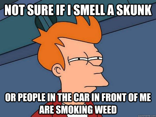 Not sure if I smell a skunk Or people in the car in front of me are smoking weed - Not sure if I smell a skunk Or people in the car in front of me are smoking weed  Futurama Fry