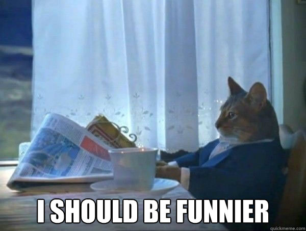  I should be funnier  morning realization newspaper cat meme