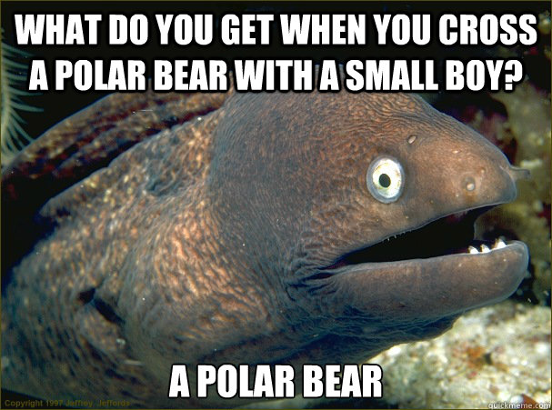 What do you get when you cross a polar bear with a small boy? A polar bear  Bad Joke Eel