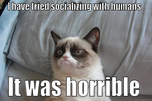 I HAVE TRIED SOCIALIZING WITH HUMANS  IT WAS HORRIBLE Grumpy Cat