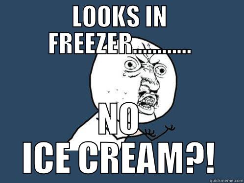 LOOKS IN FREEZER - LOOKS IN FREEZER………… NO ICE CREAM?! Y U No