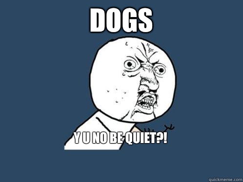 Dogs Y u no be quiet?!

  Y U No