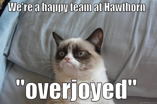 WE'RE A HAPPY TEAM AT HAWTHORN  