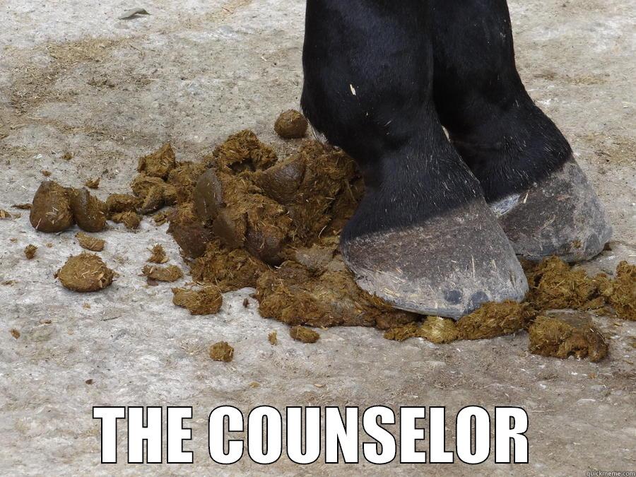 Manure Pile -  THE COUNSELOR Misc